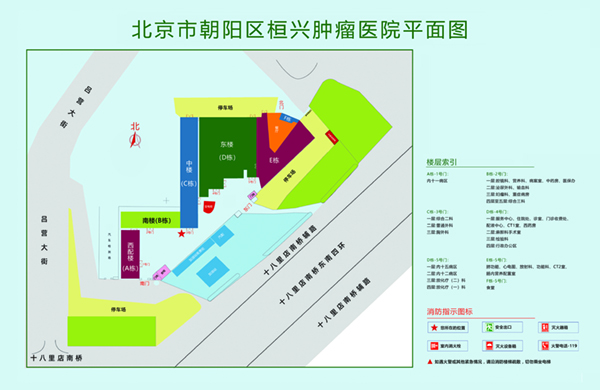 男生将大肉棒插入女生后面的网站北京市朝阳区桓兴肿瘤医院平面图